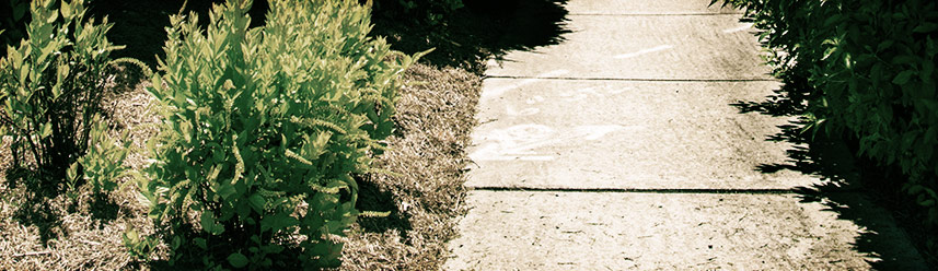 ip攻击器网页版